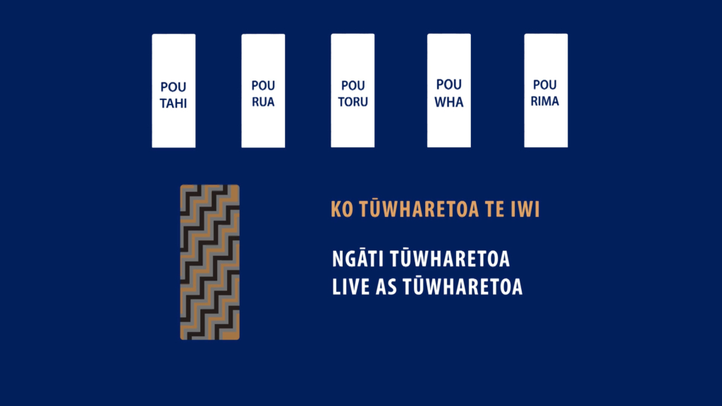 Tuwharetoa Maori Trust Board - Storyboard