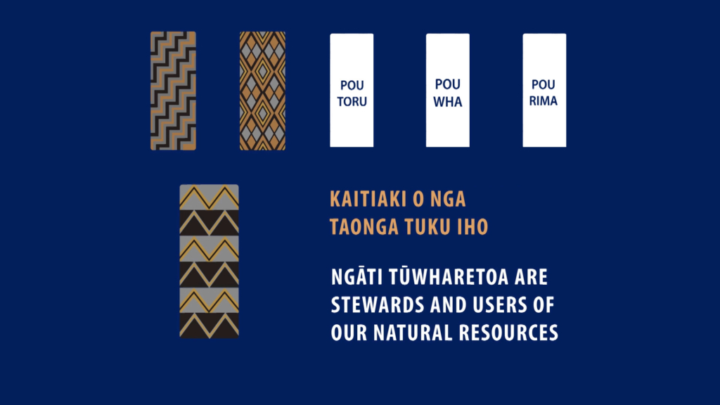 Tuwharetoa Maori Trust Board - Storyboard